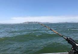 Why Fresh Water Fishing Is Preferred Over Saltwater Fishing