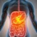 Digestive Issues: The Cause For Weight Problems