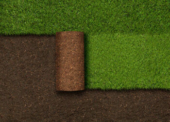 Places where you can use Emerald Zoysia grass