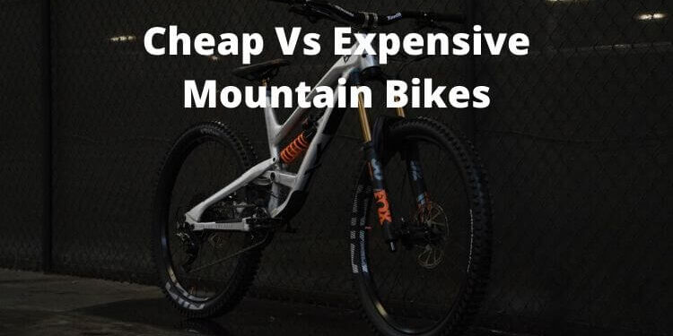 Cheap Vs Expensive Mountain Bikes