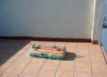 Residential Pest Control In New York