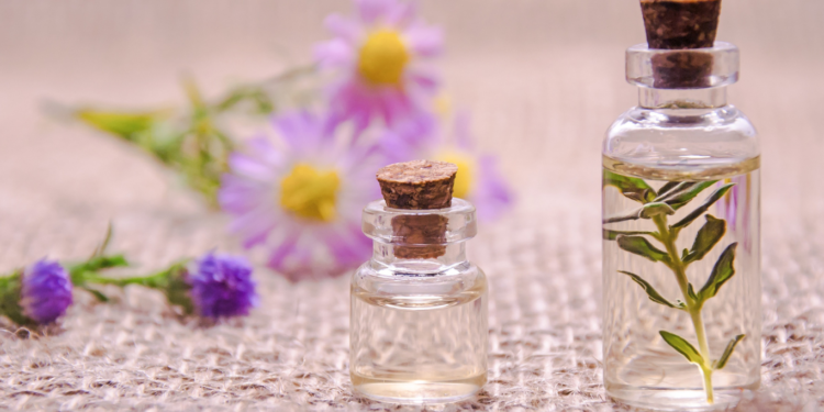 Best Versinthe Perfumes For The Lazy Individual