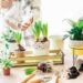 What are the requirements for creating an indoor garden?