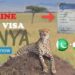 INDIAN VISA FOR KENYAN CITIZENS 2022