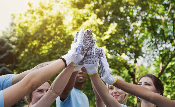 local moving services in Houston TX