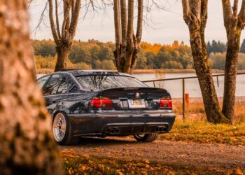 How to Create a Custom License Plate in 6 Easy Steps