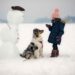 Are Australian Shepherds good with kids