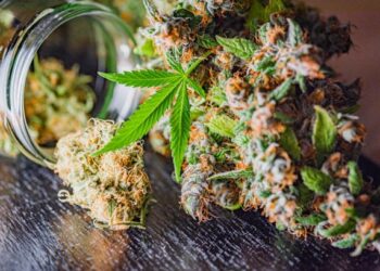 CBD: What It Is, How It Can Help With Pain Management