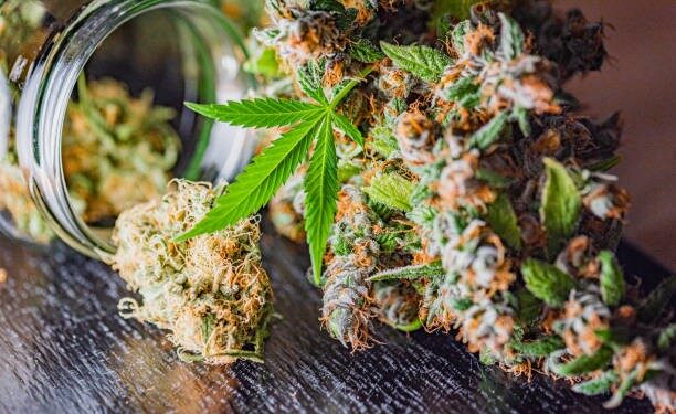 CBD: What It Is, How It Can Help With Pain Management