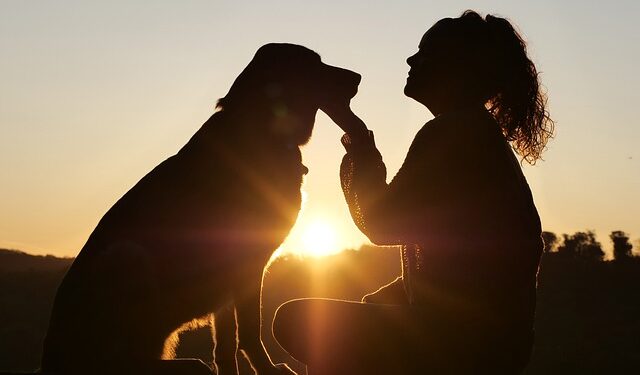 mobile dog grooming fort lauderdale