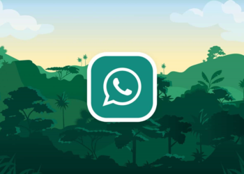 GBWhatsApp Pro APK: What are the Features of GB WhatsApp Pro?