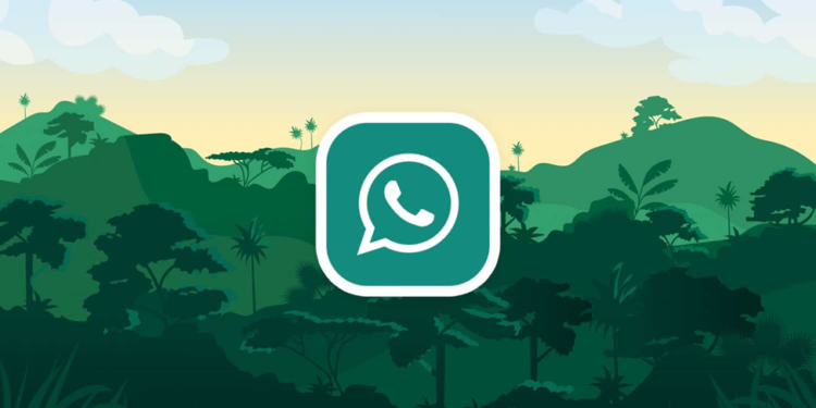 GBWhatsApp Pro APK: What are the Features of GB WhatsApp Pro?