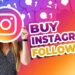 How to Buy Instagram Followers For Business