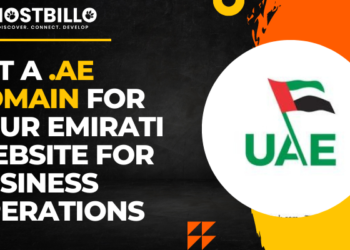 Get a .ae Domain For Your Emirati Website For Business Operations