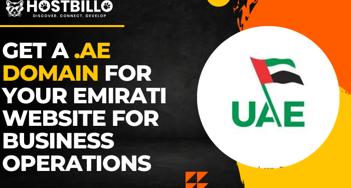 Get a .ae Domain For Your Emirati Website For Business Operations