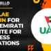 Get a .ae Domain For Your Emirati Website For Business Operations