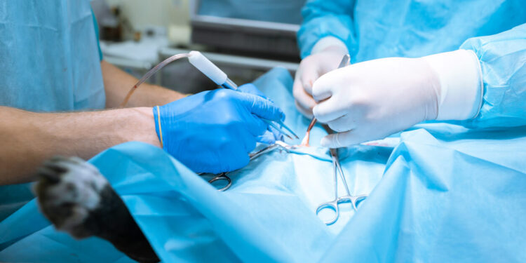 Lion Health Screening Clinic and Surgery for your health care