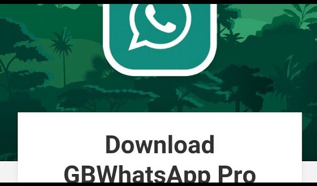 GB Whatsapp Pro APK