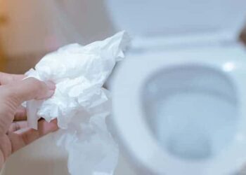 How to Dissolve Toilet Paper In a Sewer Line Six Quick Fixes