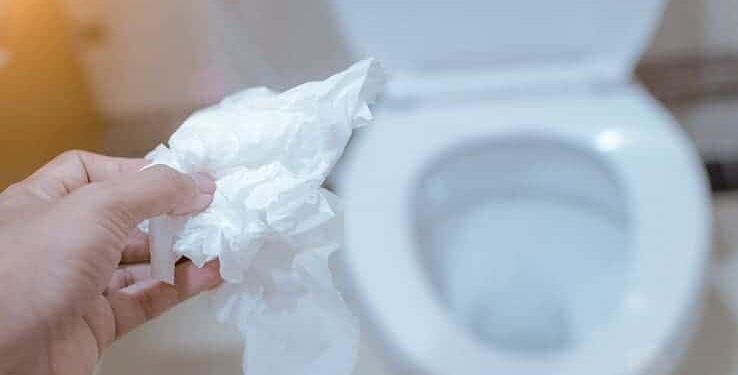 How to Dissolve Toilet Paper In a Sewer Line Six Quick Fixes