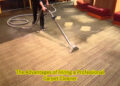 The Advantages of Hiring a Professional Carpet Cleaner