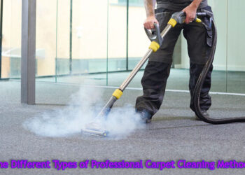 The Different Types of Professional Carpet Cleaning Methods