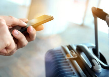 The benefits of having an Indian visa for New Zealand and Swiss citizens