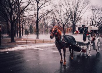 The process of obtaining a US visa