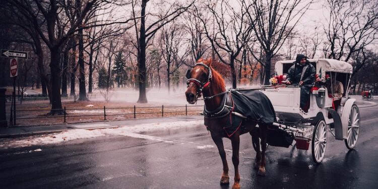 The process of obtaining a US visa