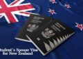 New Zealand Visa Types: Which One is Right For You?