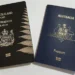 The 5 Things New Zealand Visa Types Can Do For You
