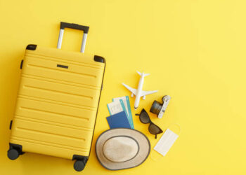 What are the different types of Indian Evisa?