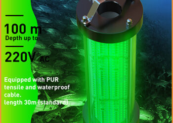 What scene is the green LED fishing light suitable for?