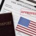 Indian Visa