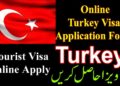 How to Apply for a Turkey Visa Application?