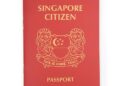 Why British citizens and citizens of Singapore want to travel to India?