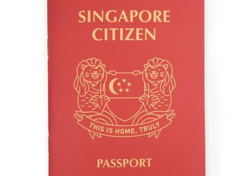 Why British citizens and citizens of Singapore want to travel to India?