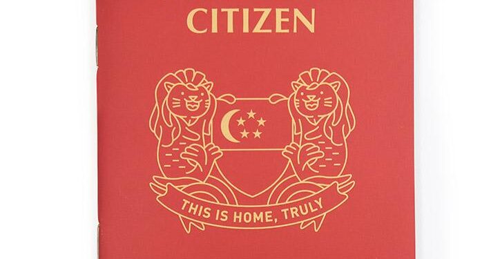 Why British citizens and citizens of Singapore want to travel to India?