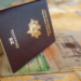 Indian Visa