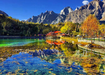 Indian Visa Requirements for US and Bulgarian Citizens