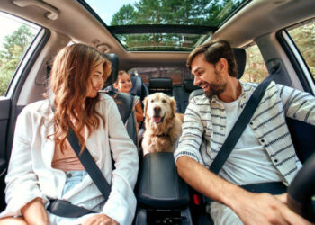 Successfully Obtaining a Canadian Visa from Singapore and Slovenia