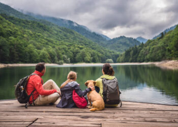 Don’t Miss This Essential Visa Application Info!