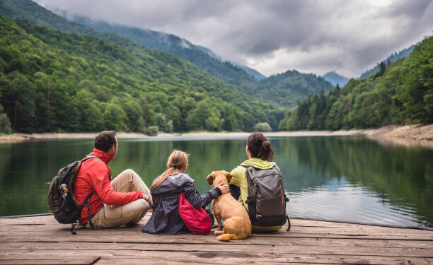 Don’t Miss This Essential Visa Application Info!