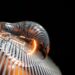 Winter Savings: Tips on How to Lower Your Electric Bill and Keep Your Home Warm and Cozy
