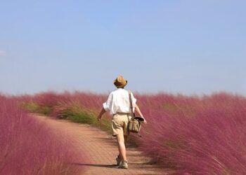 About Your Indian Visa: We Have All the Answers