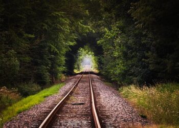 Indian Visa Wonders: How to Secure One for Swedes and Spaniards?