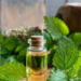 Essential Oil