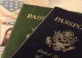 Avoiding Common Mistakes in Your New Zealand Visa Application