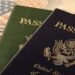 Avoiding Common Mistakes in Your New Zealand Visa Application