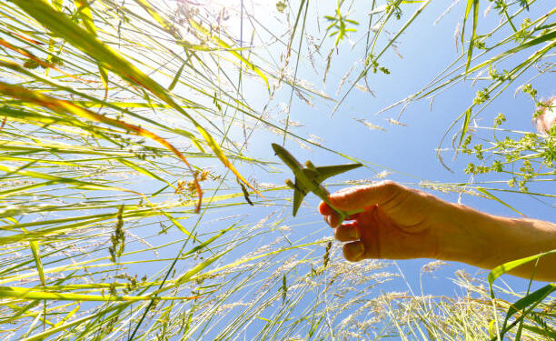 Tips and Tricks on Applying for Your Turkey Visa